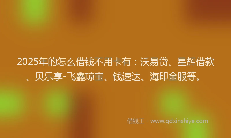 2025年的怎么借钱不用卡有：沃易贷、星辉借款、贝乐享-飞鑫琼宝、钱速达、海印金服等。