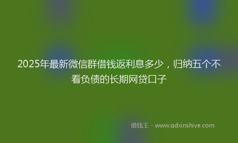 2025年最新微信群借钱返利息多少，归纳五个不看负债的长期网贷口子
