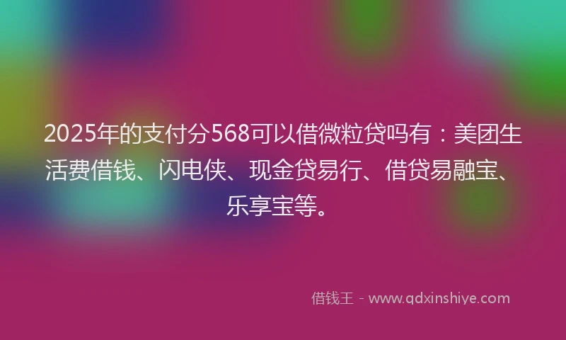 2025年的支付分568可以借微粒贷吗有：美团生活费借钱、闪电侠、现金贷易行、借贷易融宝、乐享宝等。