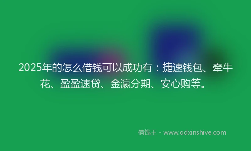 2025年的怎么借钱可以成功有：捷速钱包、牵牛花、盈盈速贷、金瀛分期、安心购等。