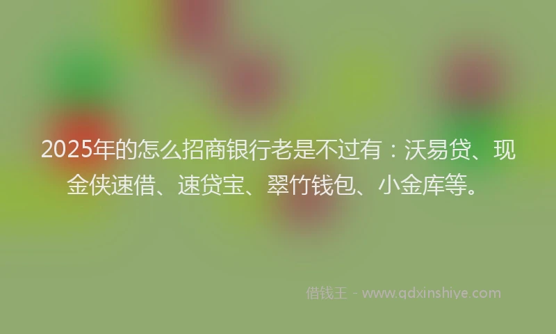 2025年的怎么招商银行老是不过有：沃易贷、现金侠速借、速贷宝、翠竹钱包、小金库等。