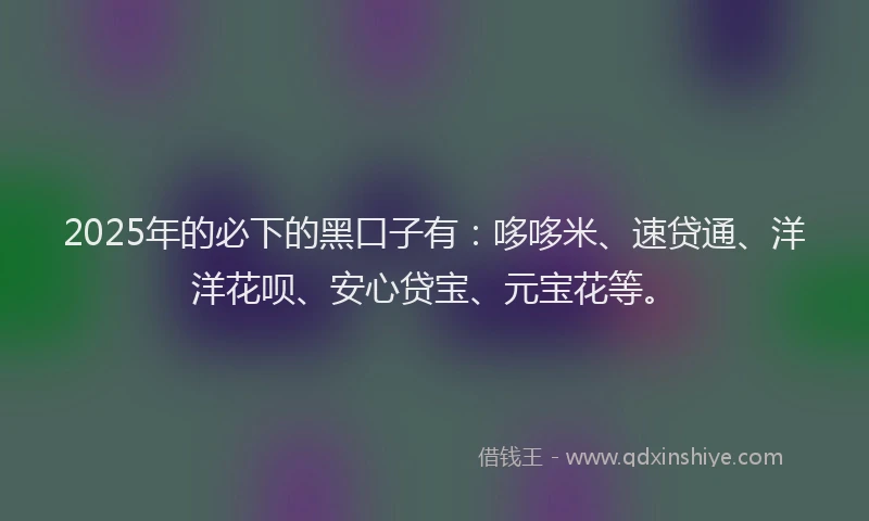 2025年的必下的黑口子有：哆哆米、速贷通、洋洋花呗、安心贷宝、元宝花等。