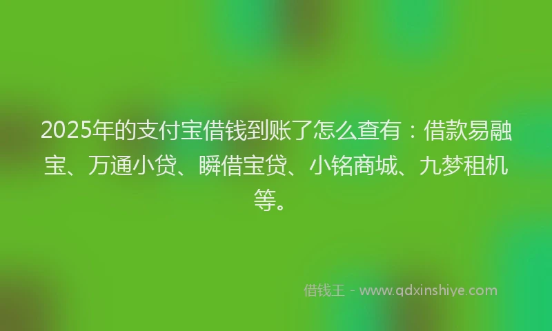 2025年的支付宝借钱到账了怎么查有：借款易融宝、万通小贷、瞬借宝贷、小铭商城、九梦租机等。