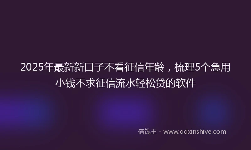 2025年最新新口子不看征信年龄，梳理5个急用小钱不求征信流水轻松贷的软件