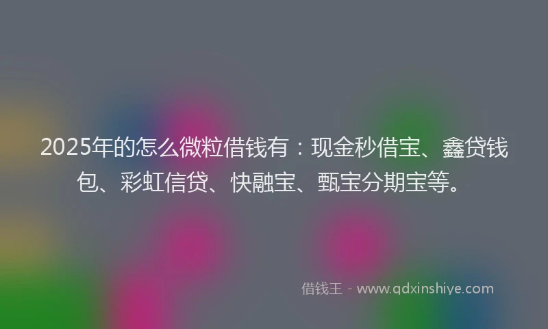 2025年的怎么微粒借钱有：现金秒借宝、鑫贷钱包、彩虹信贷、快融宝、甄宝分期宝等。