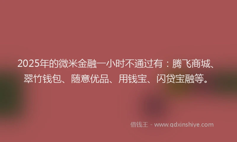 2025年的微米金融一小时不通过有：腾飞商城、翠竹钱包、随意优品、用钱宝、闪贷宝融等。