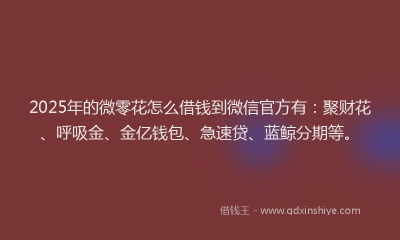 2025年的微零花怎么借钱到微信官方有：聚财花、呼吸金、金亿钱包、急速贷、蓝鲸分期等。