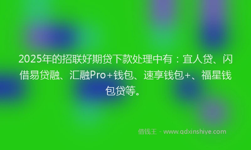2025年的招联好期贷下款处理中有：宜人贷、闪借易贷融、汇融Pro+钱包、速享钱包+、福星钱包贷等。