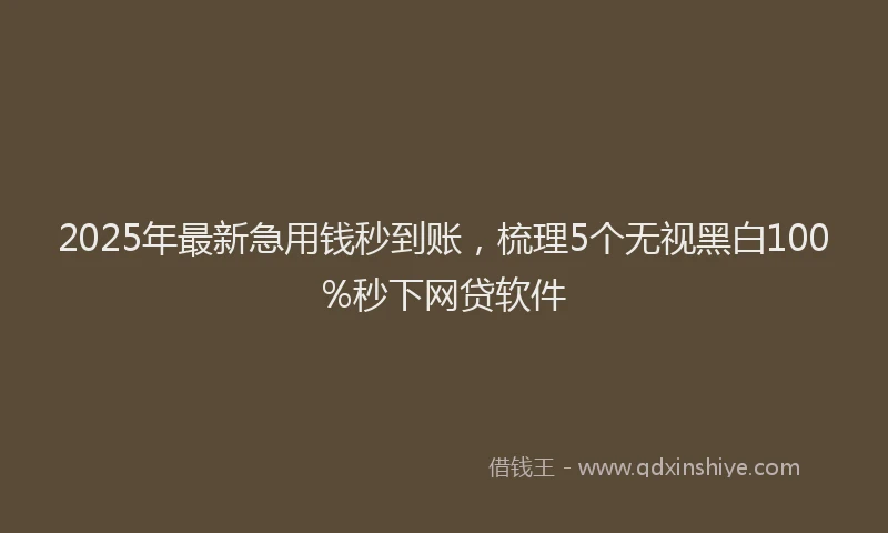 2025年最新急用钱秒到账，梳理5个无视黑白100%秒下网贷软件
