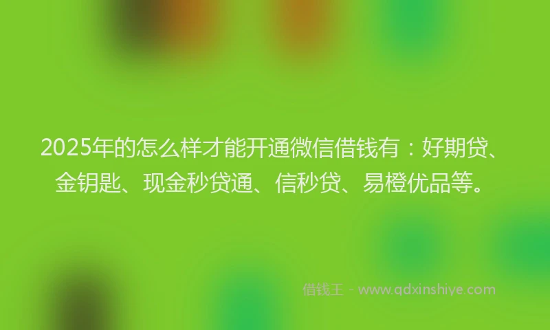 2025年的怎么样才能开通微信借钱有：好期贷、金钥匙、现金秒贷通、信秒贷、易橙优品等。