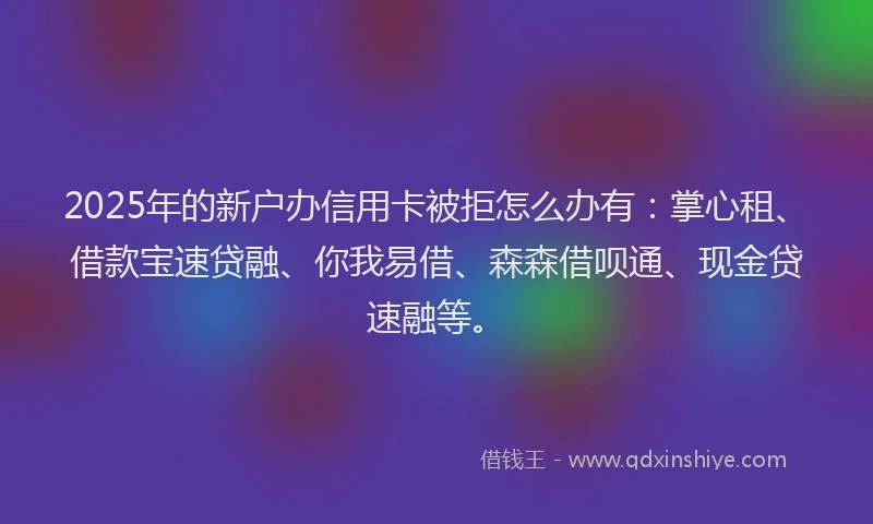 2025年的新户办信用卡被拒怎么办有：掌心租、借款宝速贷融、你我易借、森森借呗通、现金贷速融等。