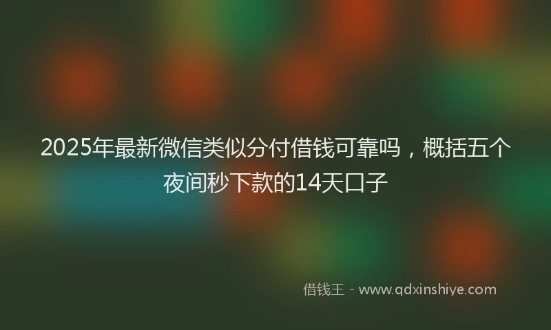 2025年最新微信类似分付借钱可靠吗，概括五个夜间秒下款的14天口子