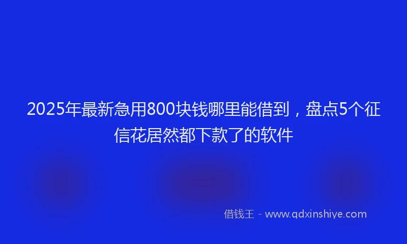 2025年最新急用800块钱哪里能借到，盘点5个征信花居然都下款了的软件