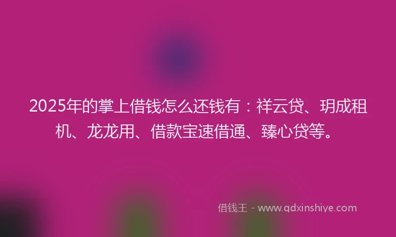 2025年的掌上借钱怎么还钱有：祥云贷、玥成租机、龙龙用、借款宝速借通、臻心贷等。