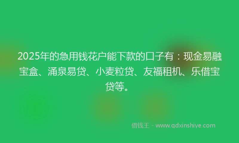 2025年的急用钱花户能下款的口子有：现金易融宝盒、涌泉易贷、小麦粒贷、友福租机、乐借宝贷等。