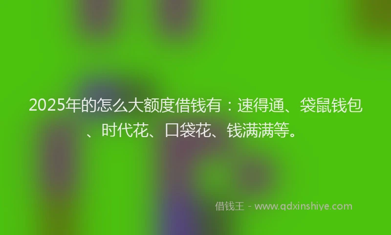 2025年的怎么大额度借钱有：速得通、袋鼠钱包、时代花、口袋花、钱满满等。