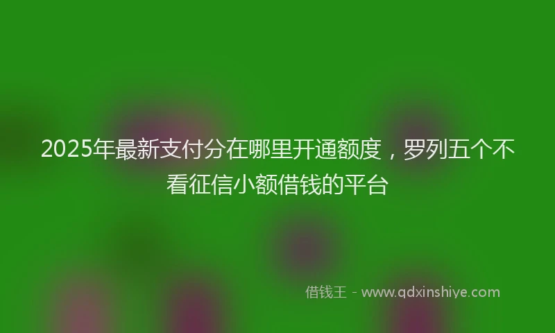 2025年最新支付分在哪里开通额度，罗列五个不看征信小额借钱的平台