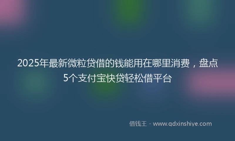 2025年最新微粒贷借的钱能用在哪里消费，盘点5个支付宝快贷轻松借平台