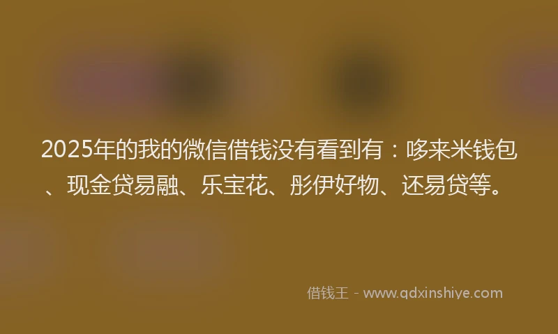 2025年的我的微信借钱没有看到有：哆来米钱包、现金贷易融、乐宝花、彤伊好物、还易贷等。