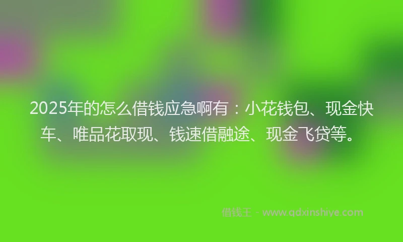 2025年的怎么借钱应急啊有：小花钱包、现金快车、唯品花取现、钱速借融途、现金飞贷等。
