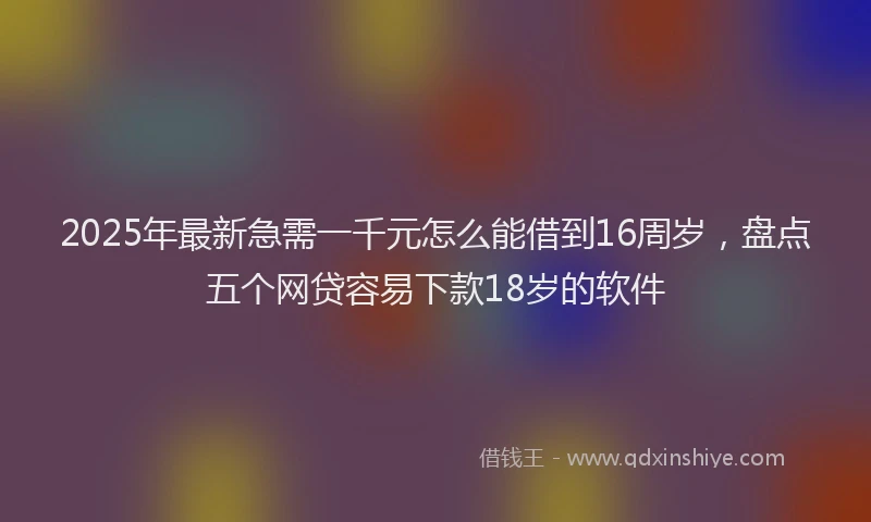 2025年最新急需一千元怎么能借到16周岁，盘点五个网贷容易下款18岁的软件