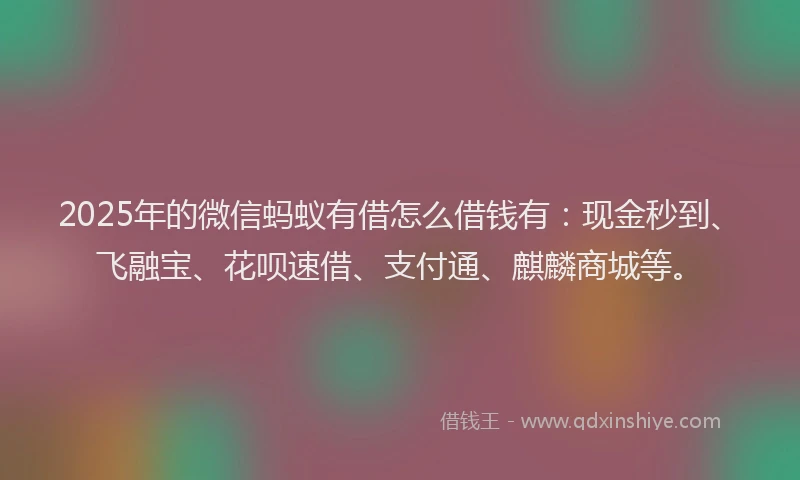 2025年的微信蚂蚁有借怎么借钱有：现金秒到、飞融宝、花呗速借、支付通、麒麟商城等。
