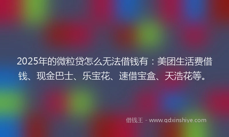 2025年的微粒贷怎么无法借钱有：美团生活费借钱、现金巴士、乐宝花、速借宝盒、天浩花等。
