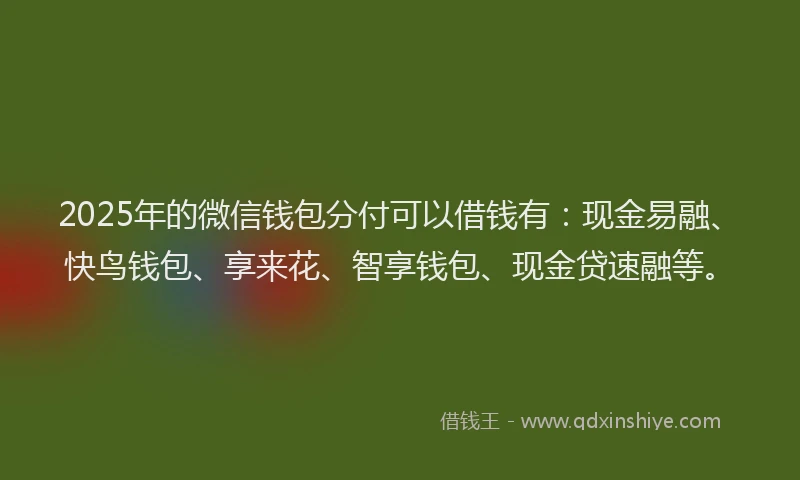 2025年的微信钱包分付可以借钱有：现金易融、快鸟钱包、享来花、智享钱包、现金贷速融等。