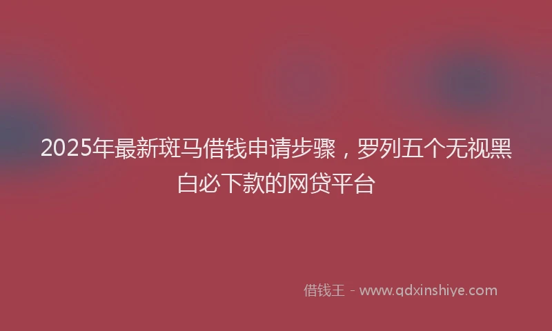 2025年最新斑马借钱申请步骤，罗列五个无视黑白必下款的网贷平台