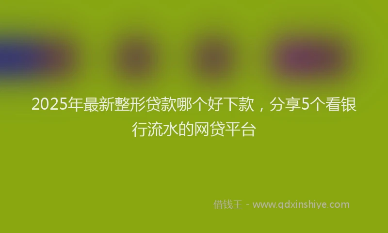 2025年最新整形贷款哪个好下款，分享5个看银行流水的网贷平台