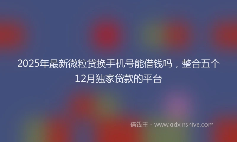 2025年最新微粒贷换手机号能借钱吗，整合五个12月独家贷款的平台