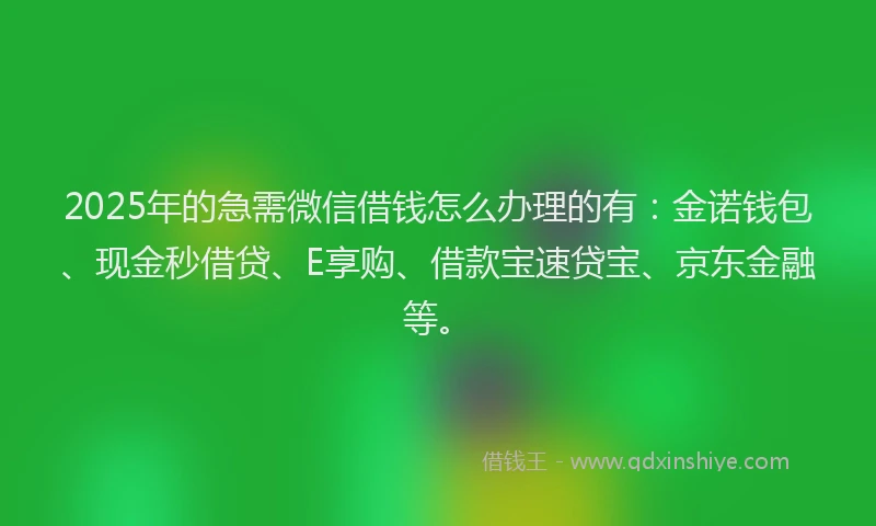 2025年的急需微信借钱怎么办理的有：金诺钱包、现金秒借贷、E享购、借款宝速贷宝、京东金融等。