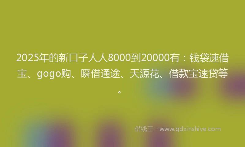 2025年的新口子人人8000到20000有：钱袋速借宝、gogo购、瞬借通途、天源花、借款宝速贷等。
