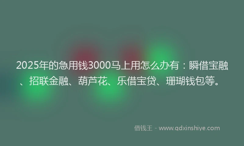2025年的急用钱3000马上用怎么办有：瞬借宝融、招联金融、葫芦花、乐借宝贷、珊瑚钱包等。
