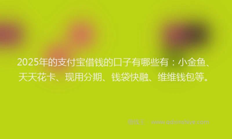 2025年的支付宝借钱的口子有哪些有：小金鱼、天天花卡、现用分期、钱袋快融、维维钱包等。