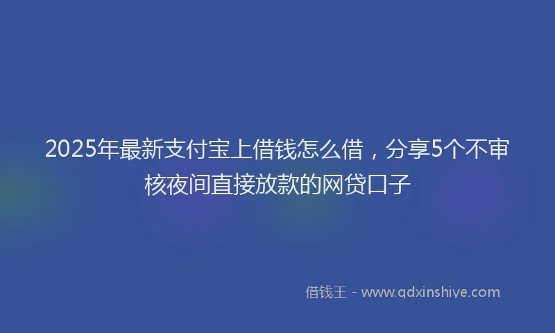 2025年最新支付宝上借钱怎么借，分享5个不审核夜间直接放款的网贷口子