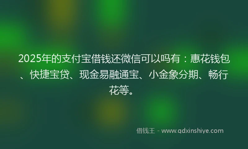 2025年的支付宝借钱还微信可以吗有：惠花钱包、快捷宝贷、现金易融通宝、小金象分期、畅行花等。