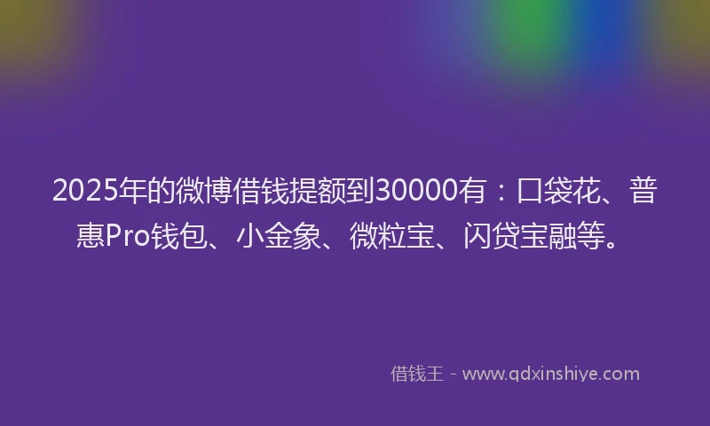 2025年的微博借钱提额到30000有：口袋花、普惠Pro钱包、小金象、微粒宝、闪贷宝融等。