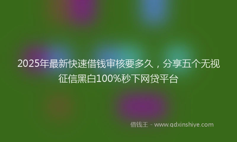 2025年最新快速借钱审核要多久，分享五个无视征信黑白100%秒下网贷平台