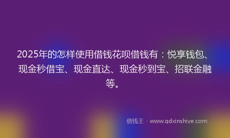 2025年的怎样使用借钱花呗借钱有：悦享钱包、现金秒借宝、现金直达、现金秒到宝、招联金融等。