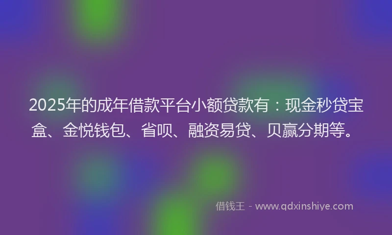 2025年的成年借款平台小额贷款有：现金秒贷宝盒、金悦钱包、省呗、融资易贷、贝赢分期等。