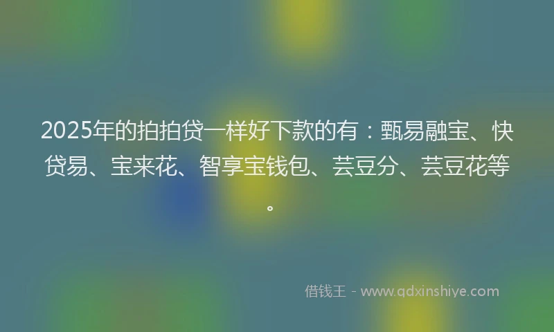 2025年的拍拍贷一样好下款的有：甄易融宝、快贷易、宝来花、智享宝钱包、芸豆分、芸豆花等。
