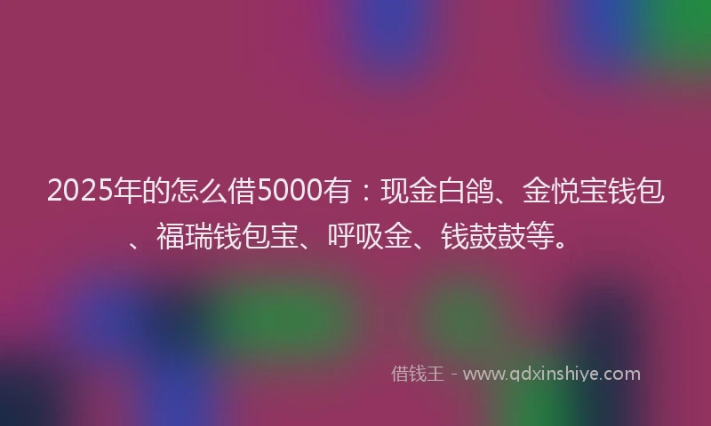 2025年的怎么借5000有：现金白鸽、金悦宝钱包、福瑞钱包宝、呼吸金、钱鼓鼓等。