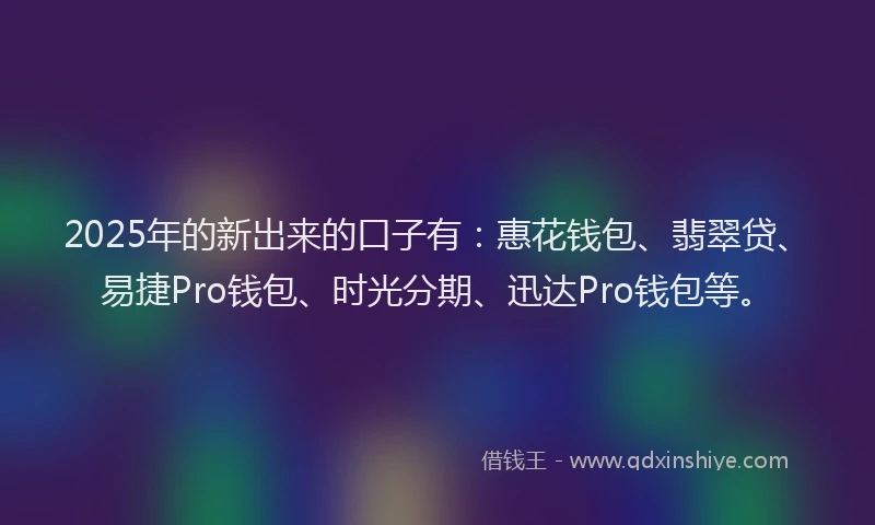 2025年的新出来的口子有：惠花钱包、翡翠贷、易捷Pro钱包、时光分期、迅达Pro钱包等。