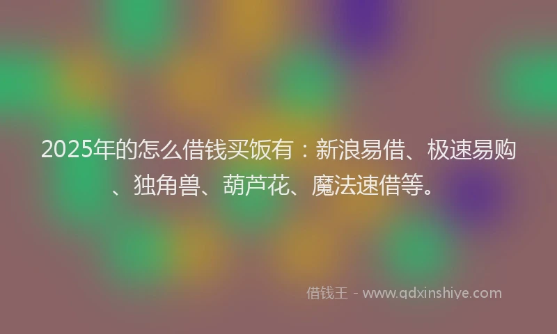 2025年的怎么借钱买饭有：新浪易借、极速易购、独角兽、葫芦花、魔法速借等。