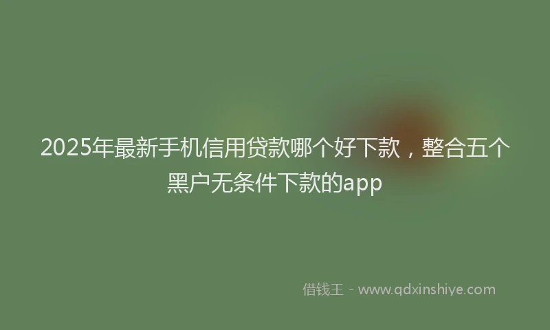 2025年最新手机信用贷款哪个好下款，整合五个黑户无条件下款的app