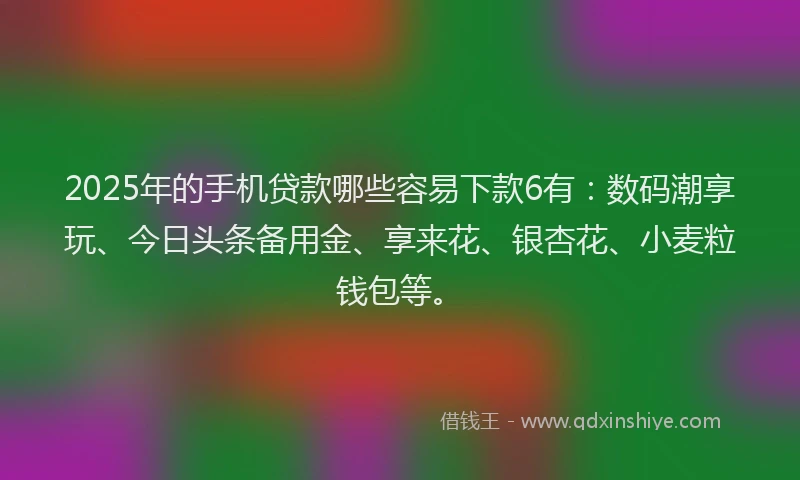 2025年的手机贷款哪些容易下款6有：数码潮享玩、今日头条备用金、享来花、银杏花、小麦粒钱包等。