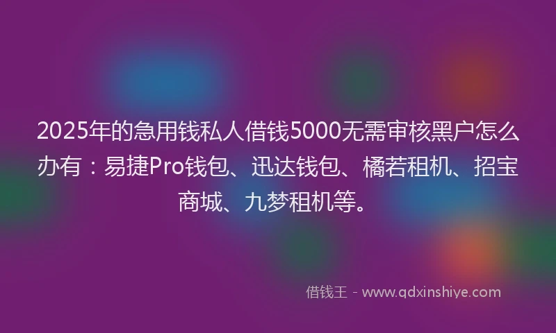 2025年的急用钱私人借钱5000无需审核黑户怎么办有：易捷Pro钱包、迅达钱包、橘若租机、招宝商城、九梦租机等。