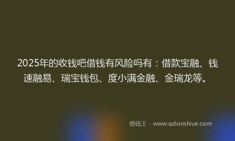 2025年的收钱吧借钱有风险吗有：借款宝融、钱速融易、瑞宝钱包、度小满金融、金瑞龙等。