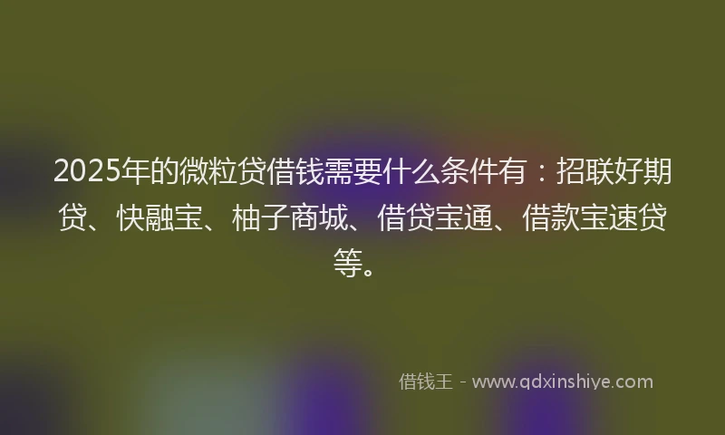2025年的微粒贷借钱需要什么条件有：招联好期贷、快融宝、柚子商城、借贷宝通、借款宝速贷等。